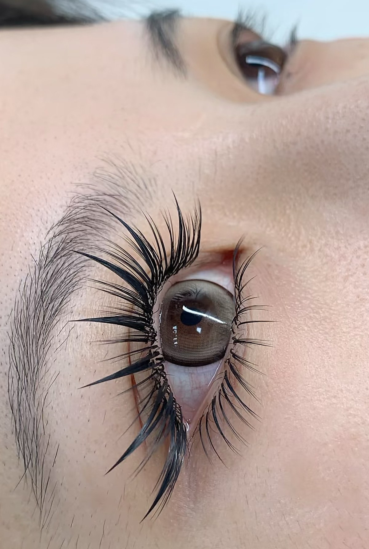 Finished lash extension result — close-up of the eye