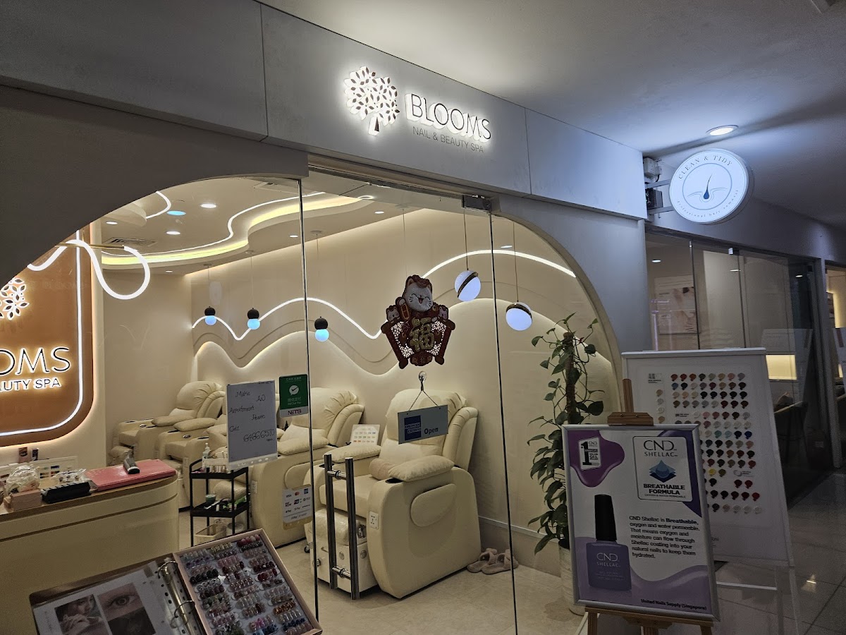 Interior of Blooms Nail & Beauty Spa, modern and softly lit