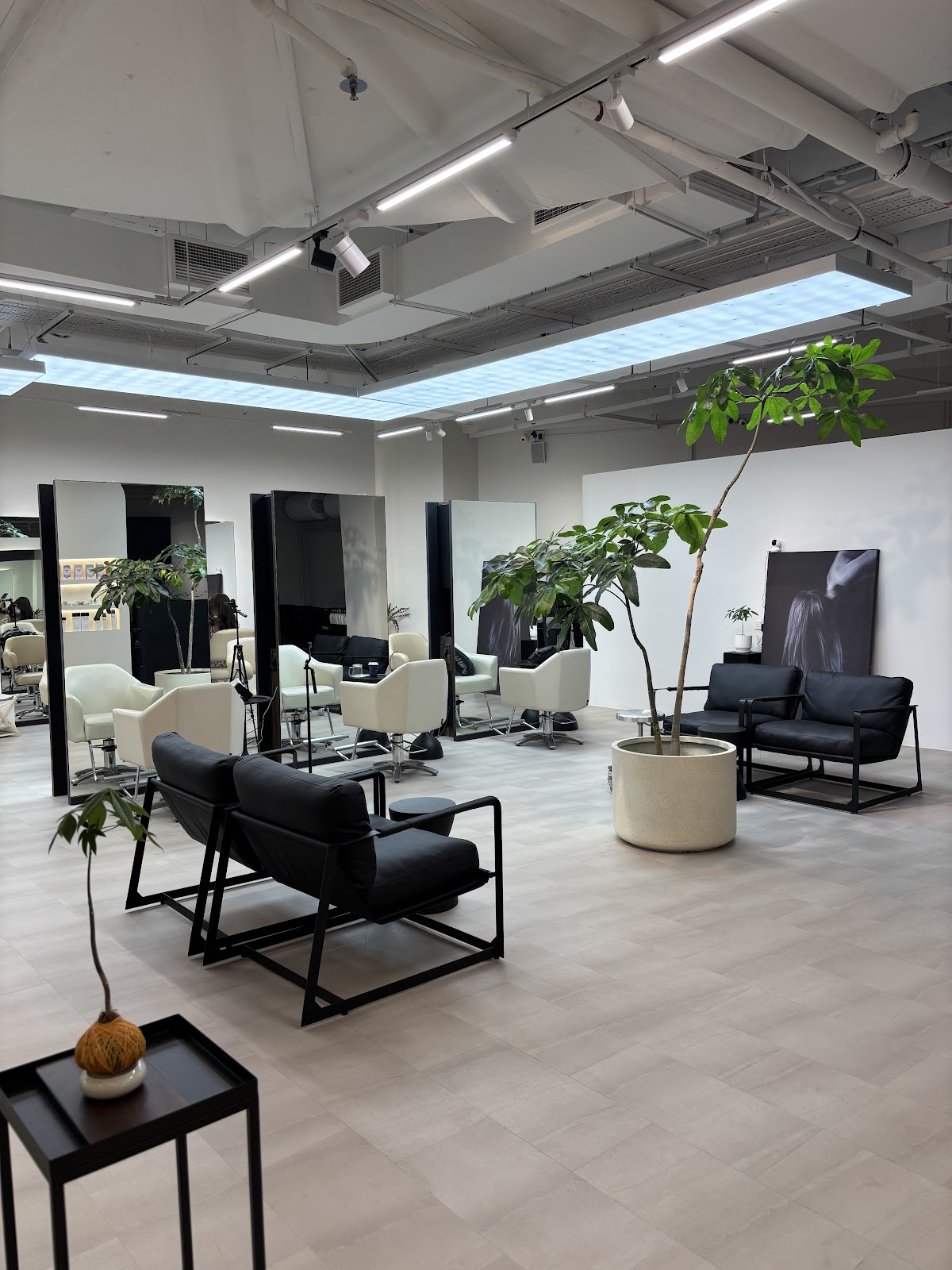 Modern salon interior space with steel-framed windows and greenery