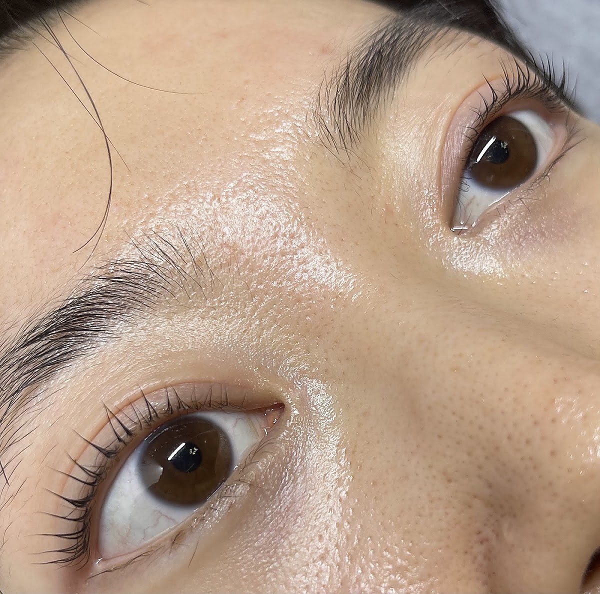 Finished lash extensions, soft glam beauty result