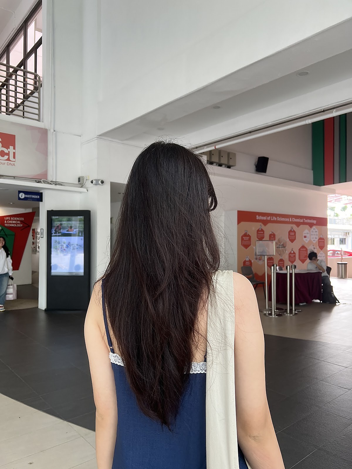 Long dark hair, back view of finished cut